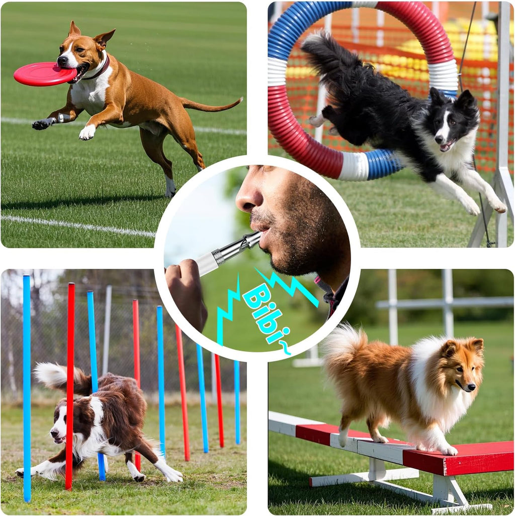 Dog Whistle, Dog Training Whistle with Lanyard, 2 Pcs Adjustable Ultrasonic Silent Dog Recall Whistles, Professional Dog Whistle to Stop Barking Neighbors Dog (White)