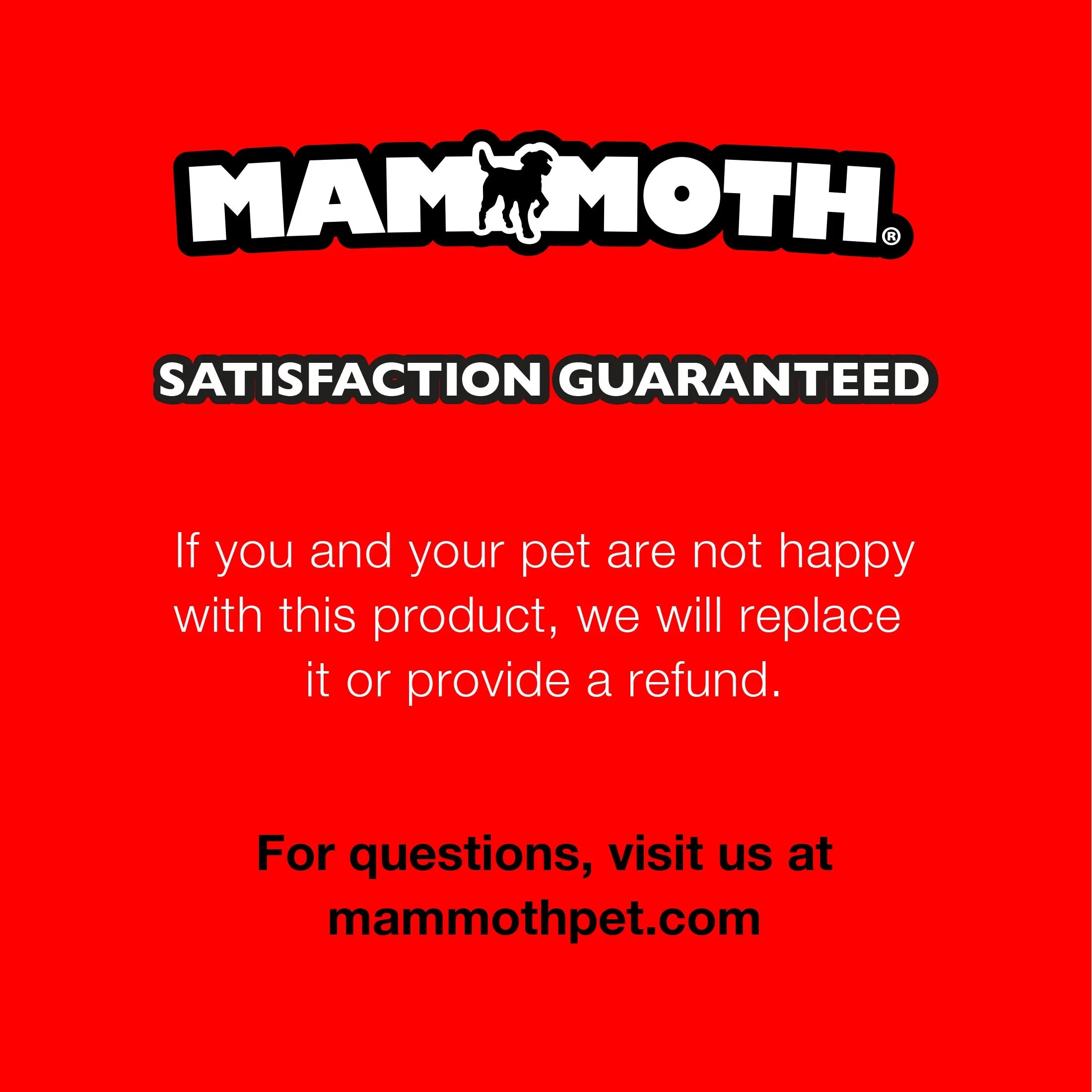 Flossy Chews Cloth Dog Rope Toy with Thermoplastic Rubber Bone, Small 11", Assorted Colors