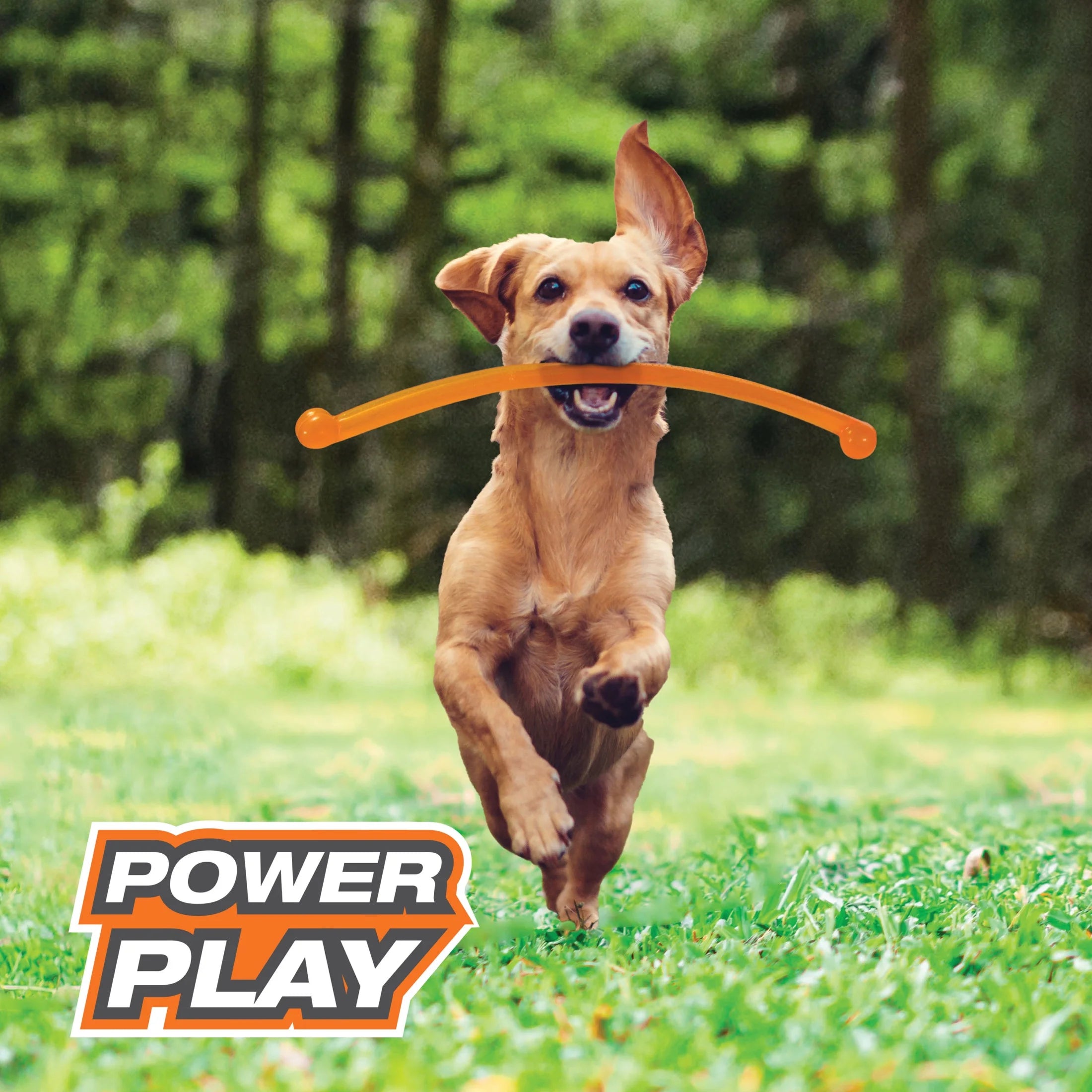 Power Play Crazy Stick Dog Toy (1 Count)