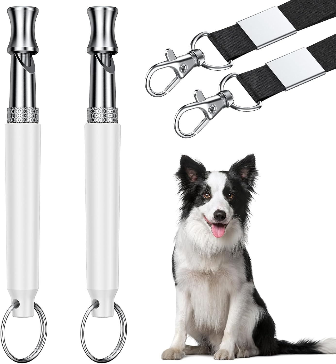 Dog Whistle, Dog Training Whistle with Lanyard, 2 Pcs Adjustable Ultrasonic Silent Dog Recall Whistles, Professional Dog Whistle to Stop Barking Neighbors Dog (White)