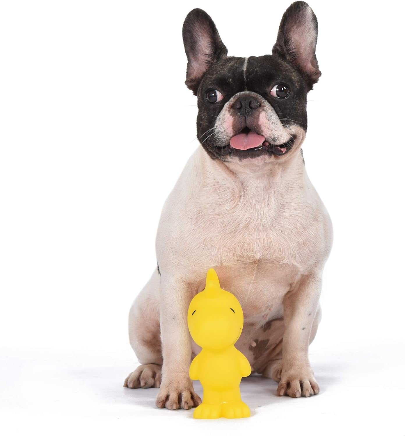 for Pets Charlie Brown Woodstock Vinyl Squeaker Dog Toy | Squeaky Dog Toy for All Dogs | Charlie Brown Plastic Dog Toys for Aggressive Chewers - Fun and Cute Yellow Dog Chew Toy, 5.5 Inch