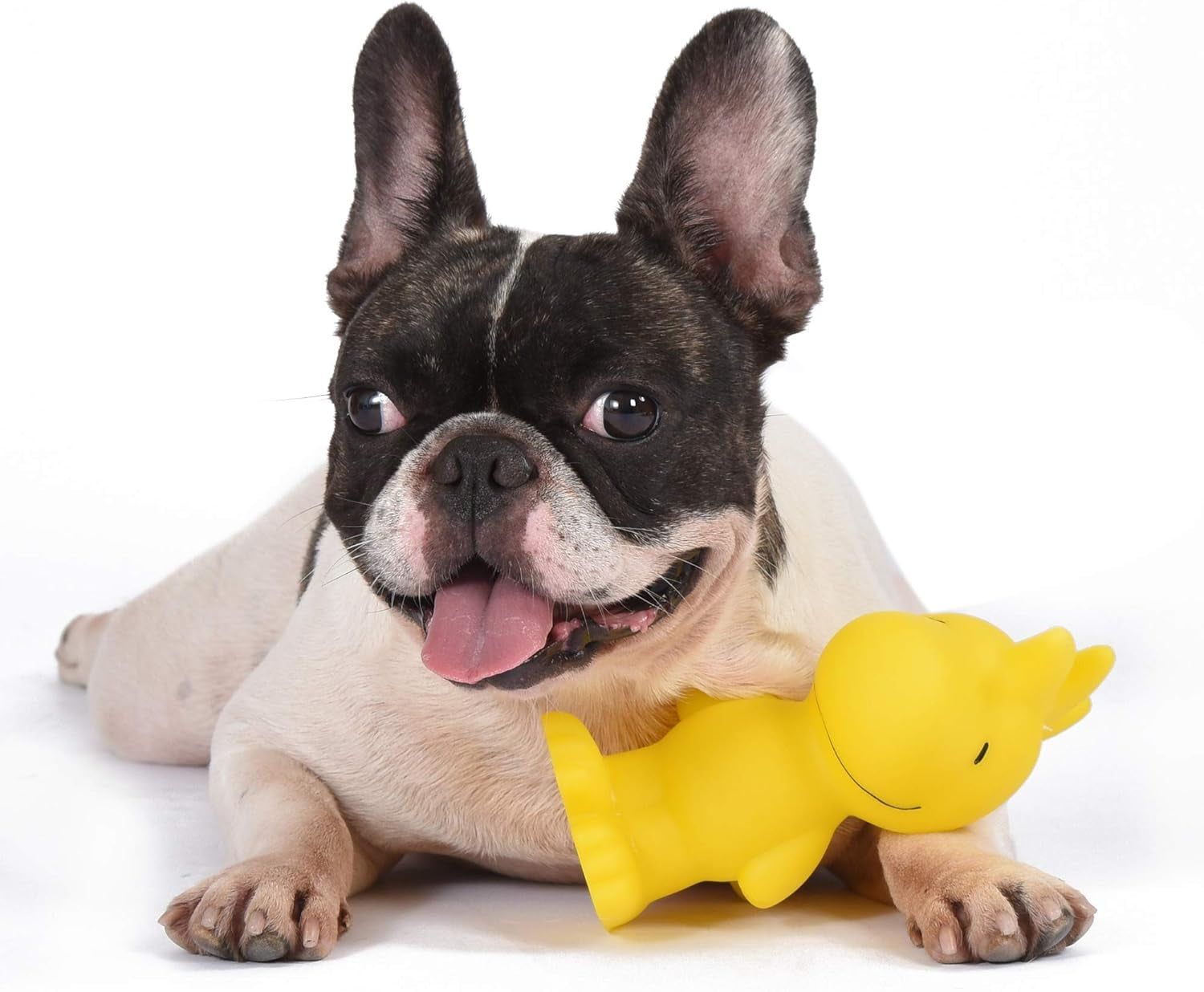 for Pets Charlie Brown Woodstock Vinyl Squeaker Dog Toy | Squeaky Dog Toy for All Dogs | Charlie Brown Plastic Dog Toys for Aggressive Chewers - Fun and Cute Yellow Dog Chew Toy, 5.5 Inch