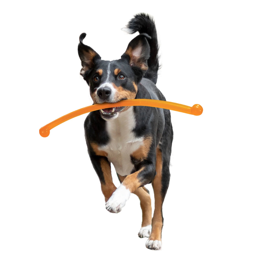 Power Play Crazy Stick Dog Toy (1 Count)