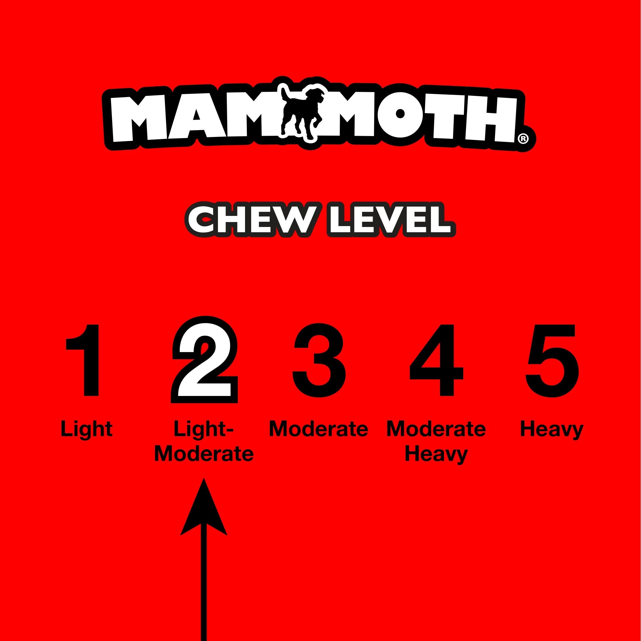 Flossy Chews Cloth Dog Rope Toy with Thermoplastic Rubber Bone, Small 11", Assorted Colors